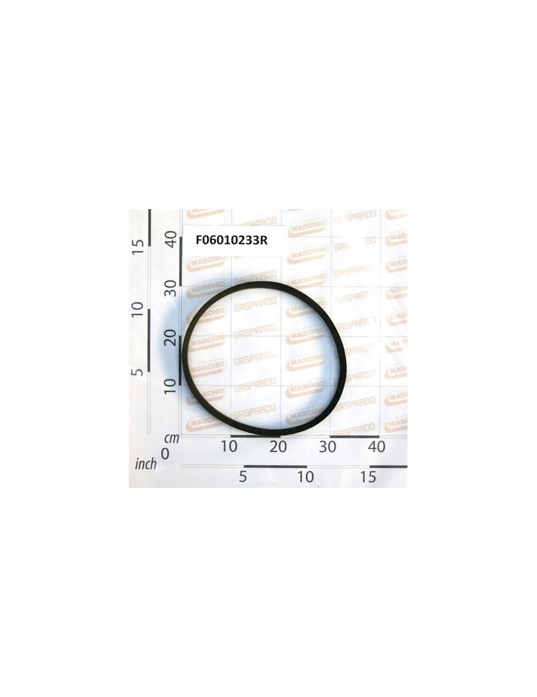 BELT- B 36