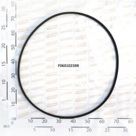 BELT- B 84