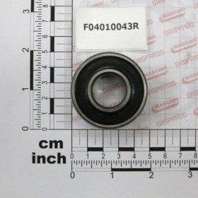 Maschio Gaspardo RULMENT 2204E 2RS1 F04010043R