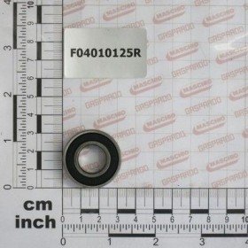 Maschio Gaspardo RULMENT D15 D32 B9 6002 2RS1 F04010125R