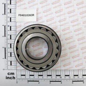 Maschio Gaspardo RULMENT D45 D100 B25 21309 CC F04010263R