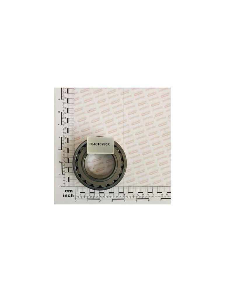 Maschio Gaspardo CUSC.D55 D100 B25 22211 E - F04010280R