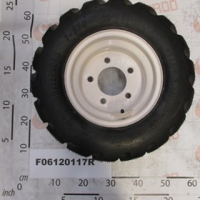 COMPL. WHEEL 20X8.00-10 RH.