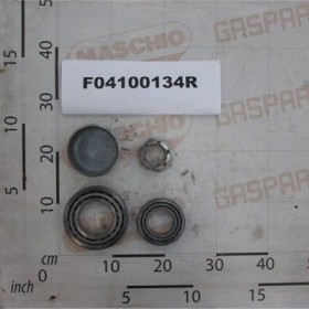 Maschio Gaspardo KIT CALOTTA-CUSCINETTI 5317680 F04100134R