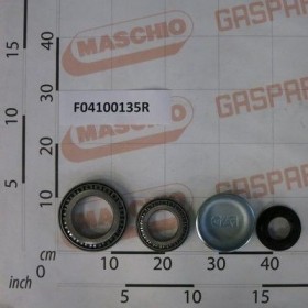 Maschio Gaspardo SET CALOTA-RULMENTI 6113770 F04100135R