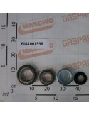 Maschio Gaspardo SET CALOTA-RULMENTI 6113770 F04100135R