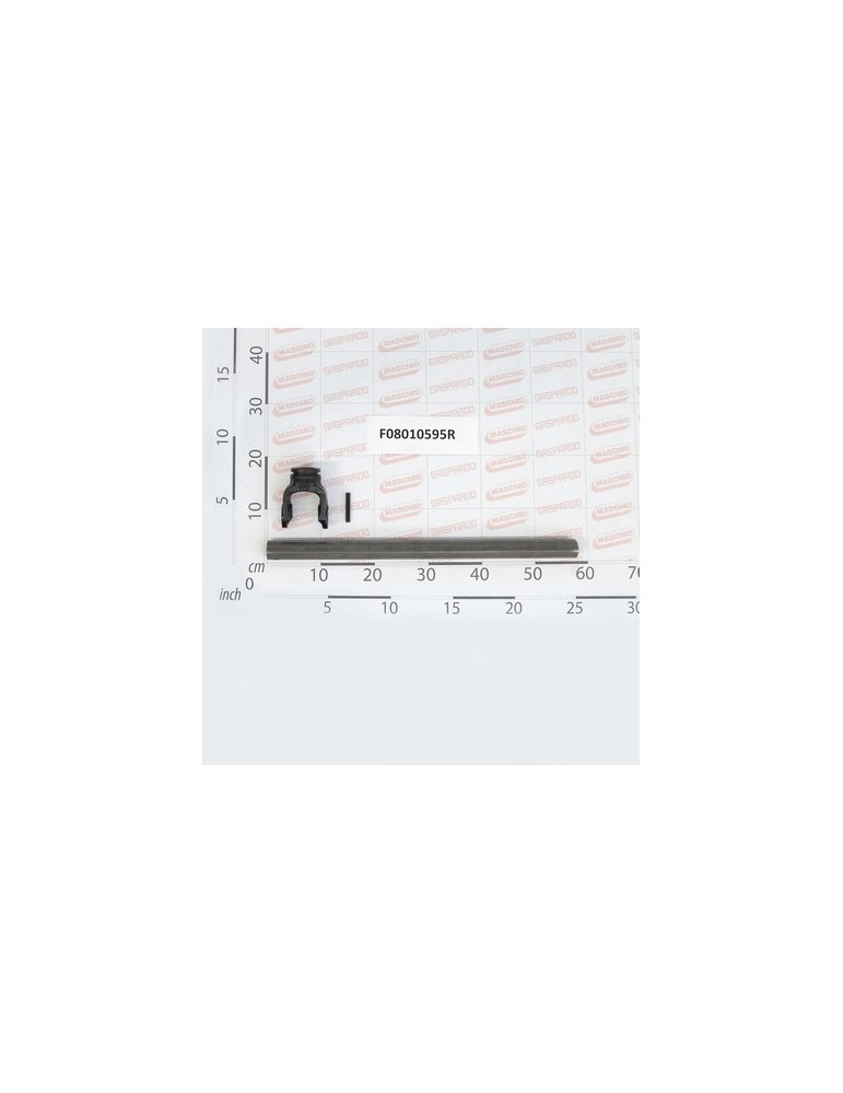 FORK+INTERNAL TUBE B.08004011