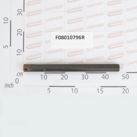 INNER TUBE