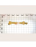 PTO SHAFT B1 Z20-Z6 L700