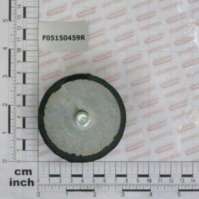 Maschio Gaspardo TAMPON CIL.75X25 M12 F05150459R