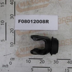 FORK