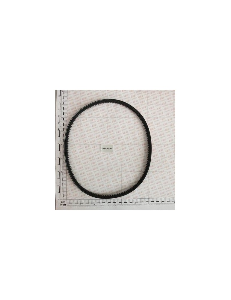 Maschio Gaspardo CUREA BA F06010026R