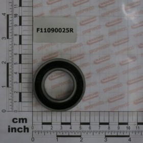 BEARING 6006 2RS