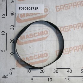 Maschio Gaspardo Curea Poly-V F06010171R