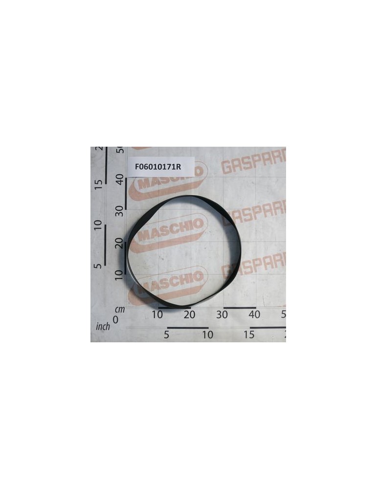 Maschio Gaspardo Curea Poly-V F06010171R