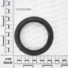 RING NUT G2\"1/2