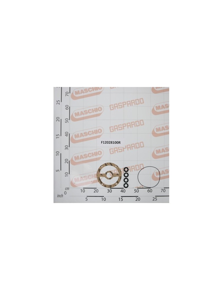 MAINTENANCE KIT MID50 PUMP BR