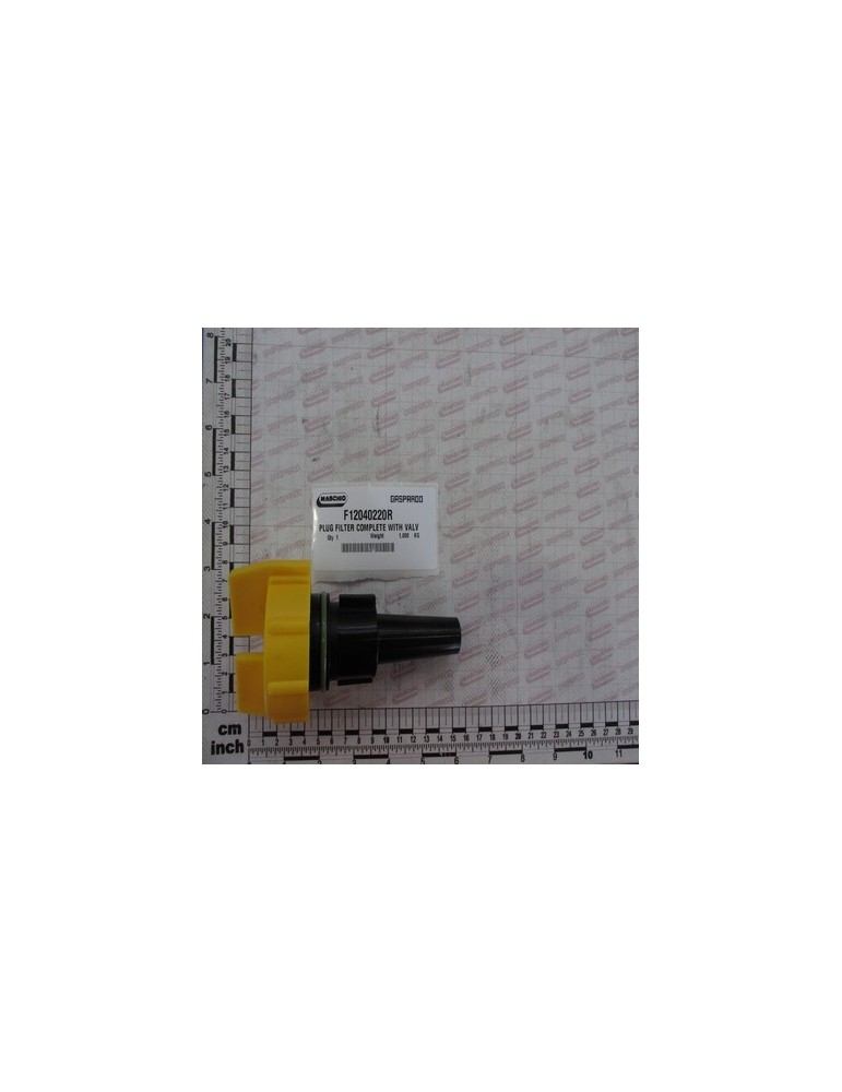 PLUG FILTER COMPLETE WITH VALV