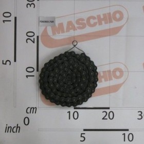 Maschio Gaspardo LANT 5/8 ASA 50 L 102 OCHIURI F06080176R