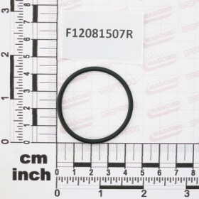 GASKET FOR HOSE FITTING G2
