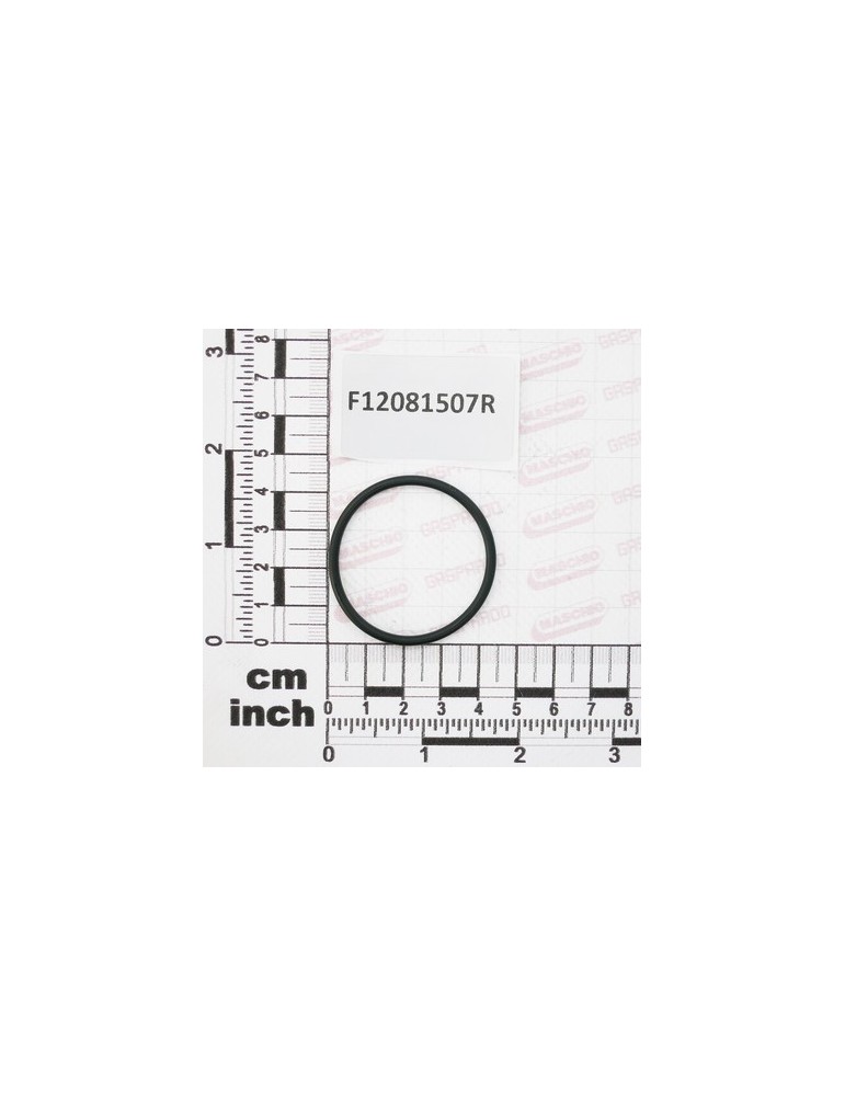 GASKET FOR HOSE FITTING G2
