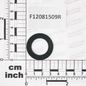 GASKET BULKHEAD M THREAD G 1/2