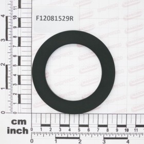 GASKET G2 BSP