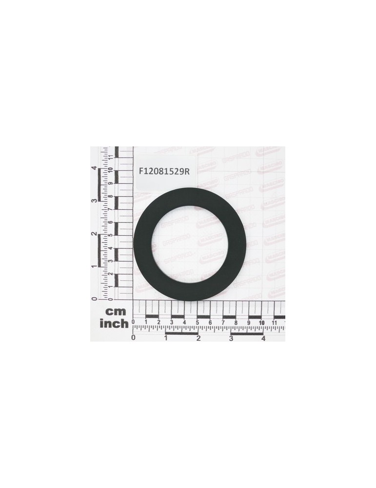 GASKET G2 BSP