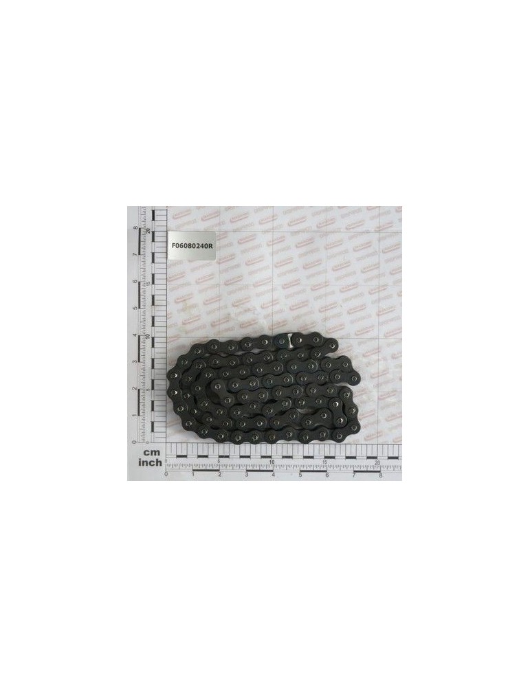 Maschio Gaspardo LANT 5/8 ASA 50 L 81 OCHIURI F06080240R