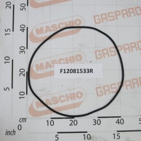 GASKET FOR COVER TANK H2O