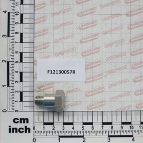 ANNOVI REVERBERI PIN