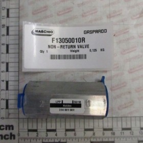 NON-RETURN VALVE
