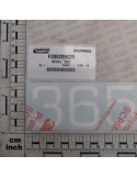 DECAL \"365\"