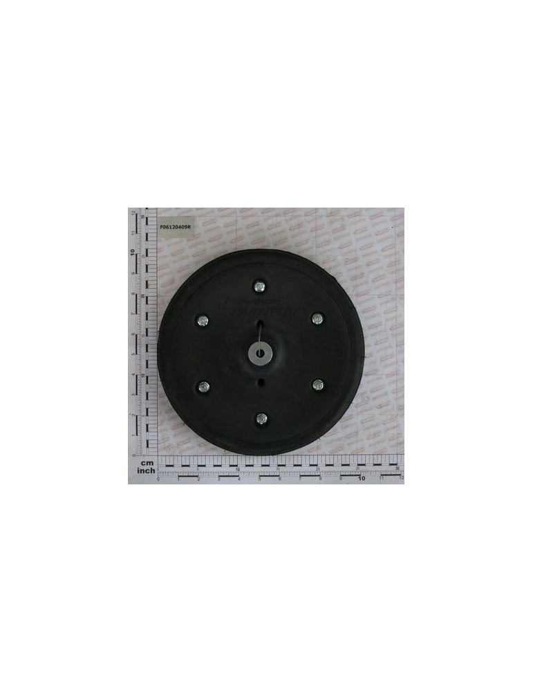 Maschio Gaspardo RUOTA GOMMA 250X42L PLA.2CUS. F06120409R