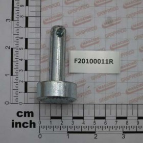PIN D14 L41 C43