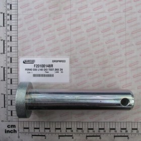 PIN D36 L148 C43 HEAD D60 ZN