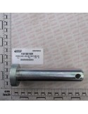 PIN D36 L148 C43 HEAD D60 ZN