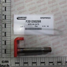 BOLT M12X75