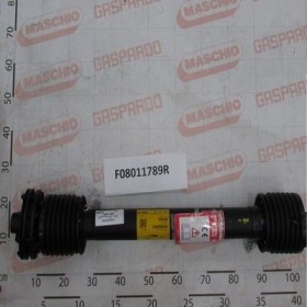 Maschio Gaspardo CAR.BON.TRIAN.3/8 Z6 LT L1033 F08011789R