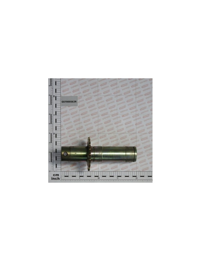 PINION Z-20 WITH GALVAN.HUB