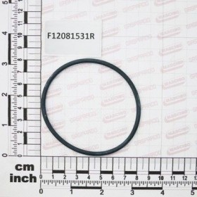 Maschio Gaspardo GUARNIZIONE 2ï¾´ï¾´ 1/2 F12081531R