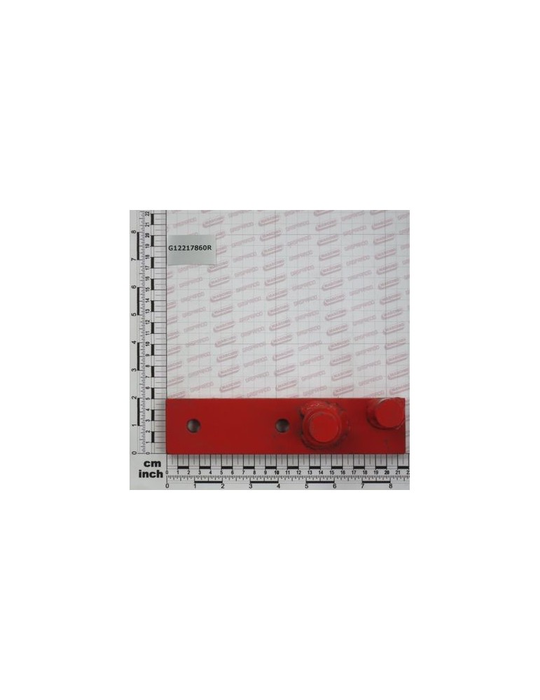 LIFTING PLATE