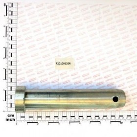 Maschio Gaspardo PERNO D45 L194 C40 TEST.D60 ZN F20100120R