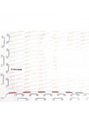 INDICATIN BAR