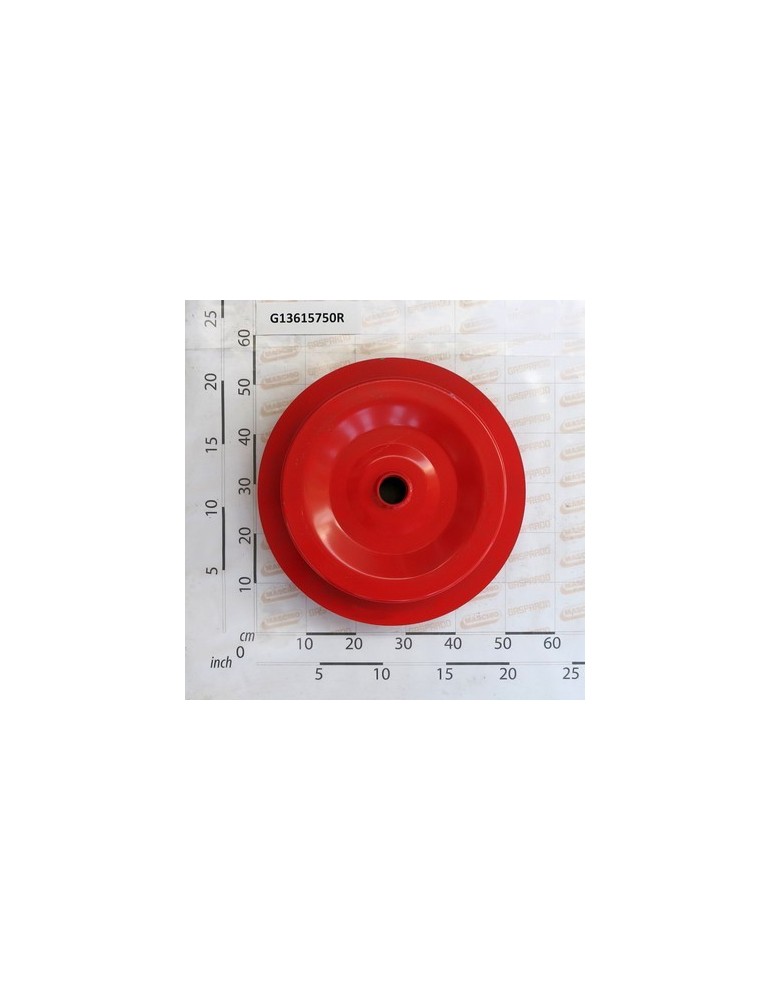 MAIN WHEEL