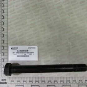BOLT SPEC.M24X230