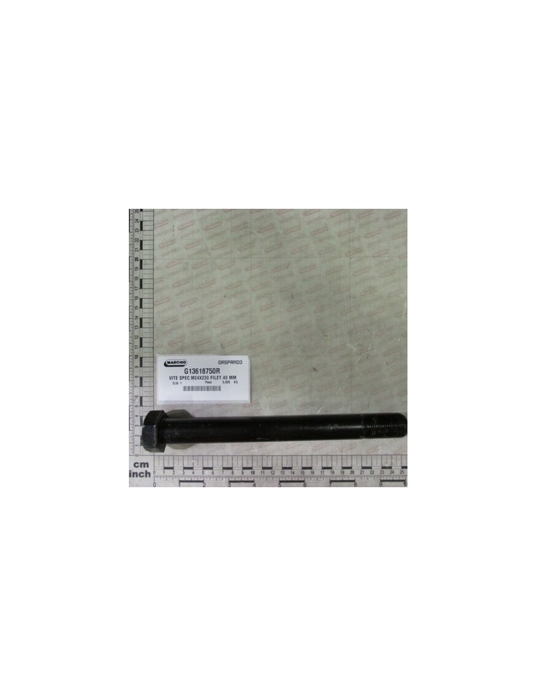 BOLT SPEC.M24X230