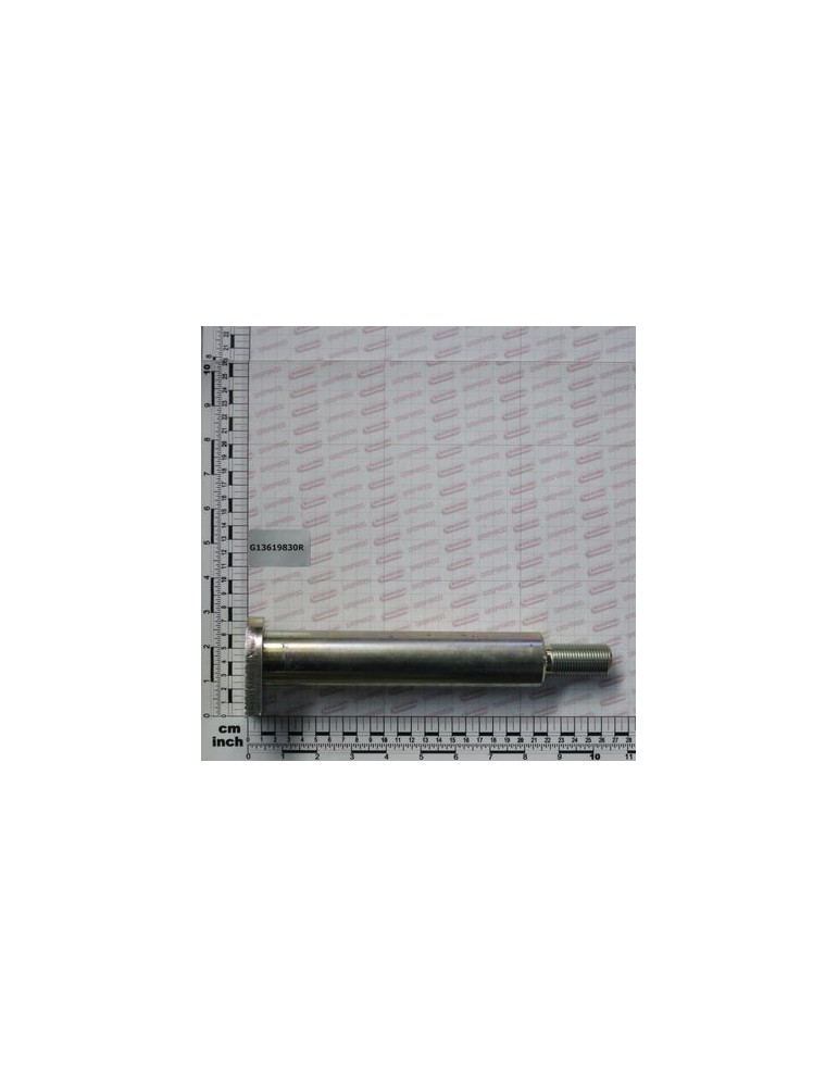 ARMS PIN