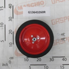 WHEEL COMPLETE WITH FORK