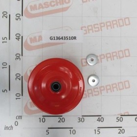 Maschio Gaspardo ROATA DE ADANCIME 250X100+RULM G13643510R